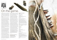 on-the-game